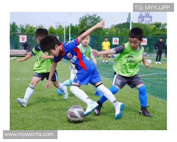 绿茵场上激情与荣耀全面展现世界足球球星独特风采 绿茵场上激情与荣耀全面展现世界足球球星独特风采