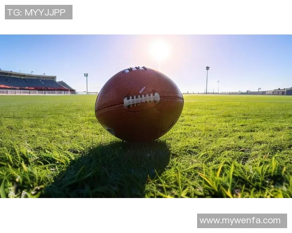 足球球星背后的奋斗与荣耀：从绿茵场到激励人生的心路历程